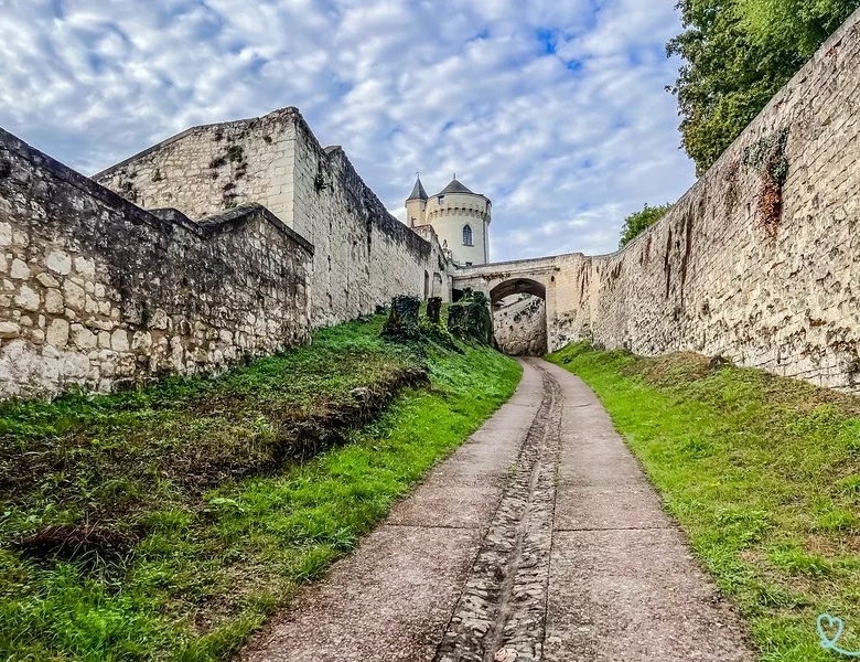 Chateau de Candes Full Estate