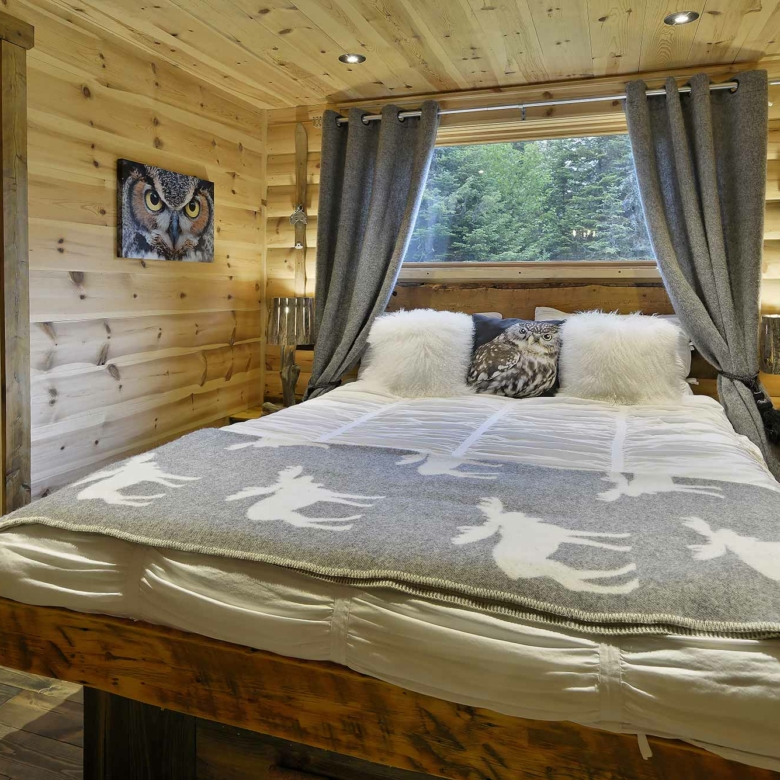 Chalet WOODY
